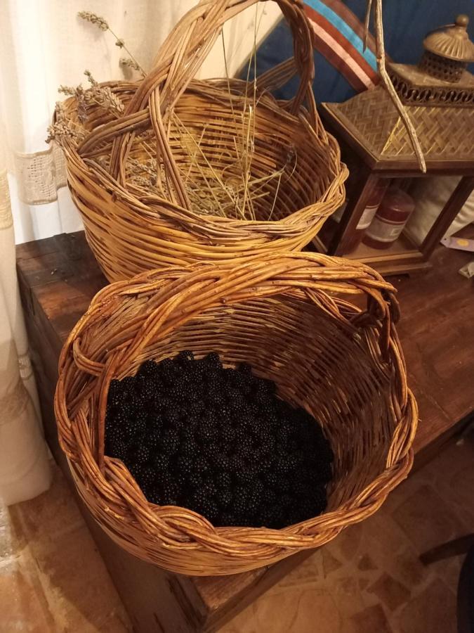 La Casa Dalle Finestre Blu Abbateggio Zewnętrze zdjęcie